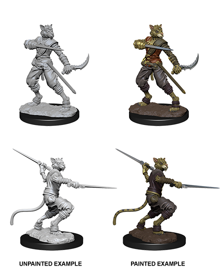 D&D: Nolzur's Marvelous Miniatures - Tabaxi Male Rogue