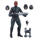 Marvel Legends Cinematic Universe 10th Anniversary Red Skull 6-Inch Action Figur