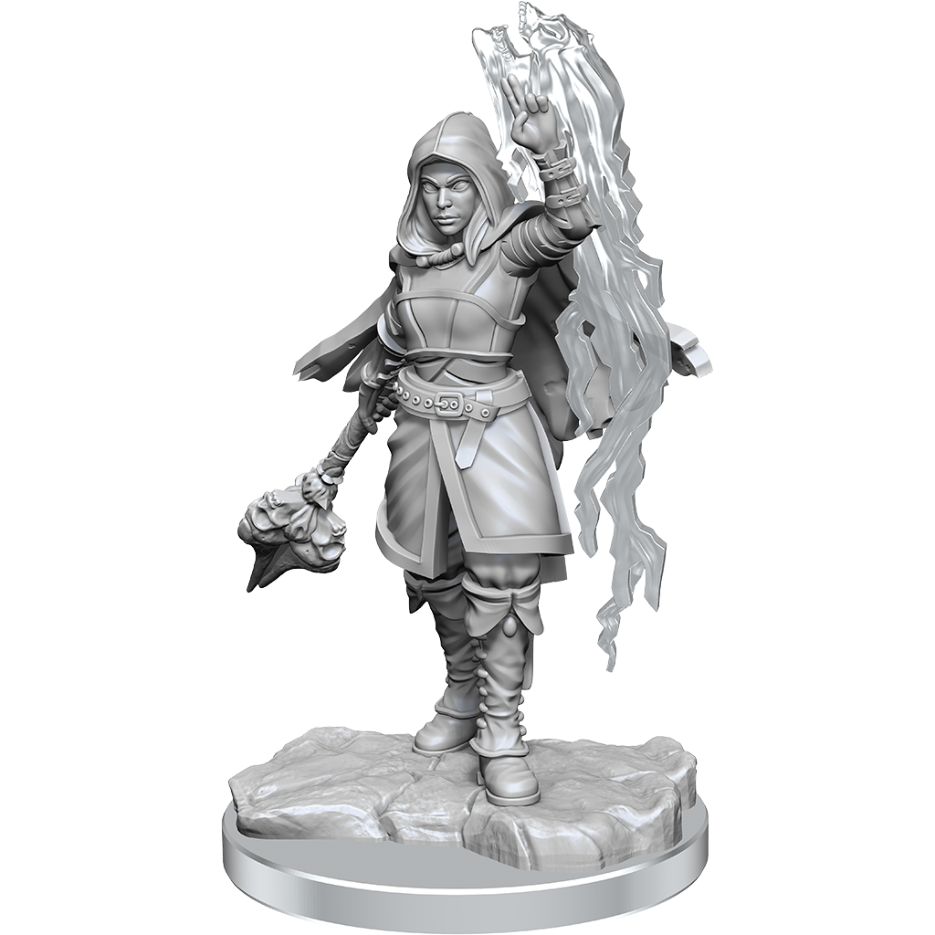 D&D: Nolzur's Marvelous Miniatures - Half-Elf Warlock